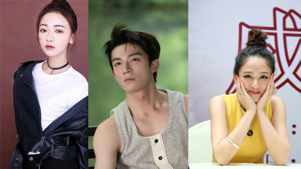 Daftar Lengkap Pemeran Drama China Topeng Pemboros dan Profilnya